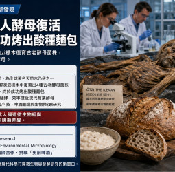 5300年前冰人酵母復活！科學家成功烤出酸種麵包 下一步挑戰釀啤酒